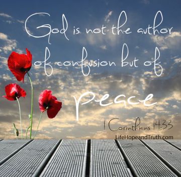 1 Corinthians 14:33 For God is not the author of confusion but of peace, as in all the churches of the saints.