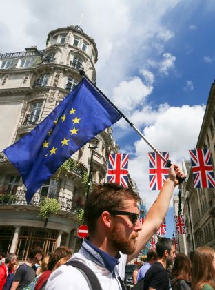<p>Protesters take to the streets after the Brexit vote.</p>
