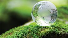 Photo of glass globe on a green, mossy rock to illustrate the article A Green Sabbath or God's Sabbath?