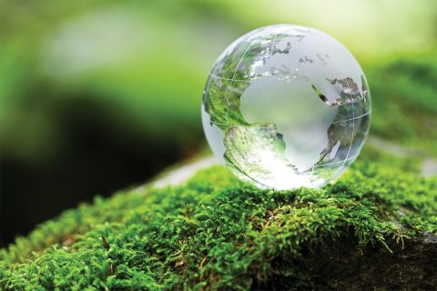 Photo of glass globe on a green, mossy rock to illustrate the article A Green Sabbath or God's Sabbath?