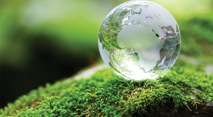 Photo of glass globe on a green, mossy rock to illustrate the article A Green Sabbath or God's Sabbath?