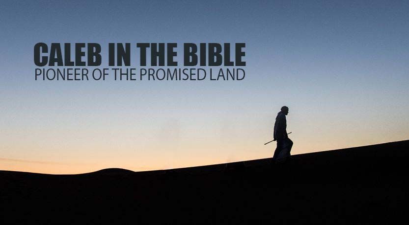 Promised Land - Get There Through Gods Power