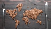 Photo of grain on a dining table in the shape of the continents to illustrate the article 
