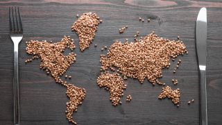 Causes of World Hunger