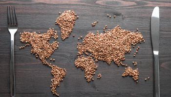 Photo of grain on a dining table in the shape of the continents to illustrate the article 