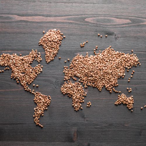 Causes of World Hunger