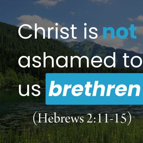 Christ Is Not Ashamed to Call Us Brethren (Hebrews 2:10-15)