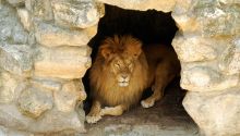 Daniel 6: Daniel in the Lions Den