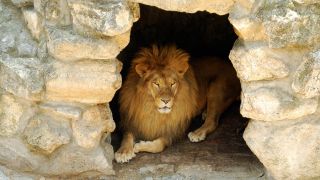 Daniel 6: Daniel in the Lions’ Den