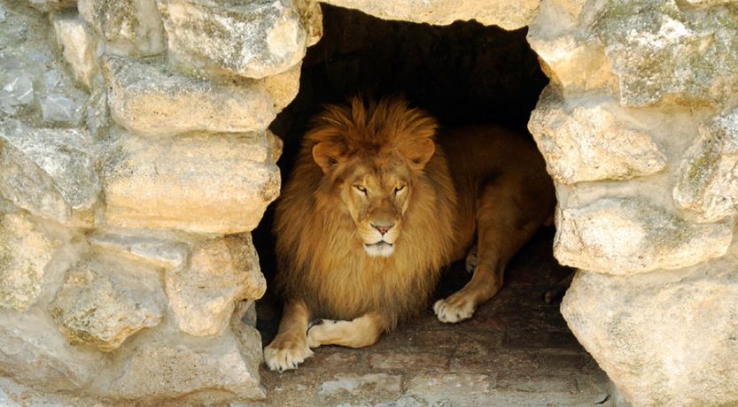 Daniel 6: Daniel in the Lions' Den