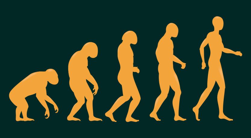 How Darwin’s Theory of Evolution Changed the World