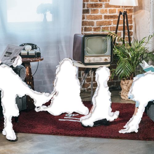 The Disappearing Family