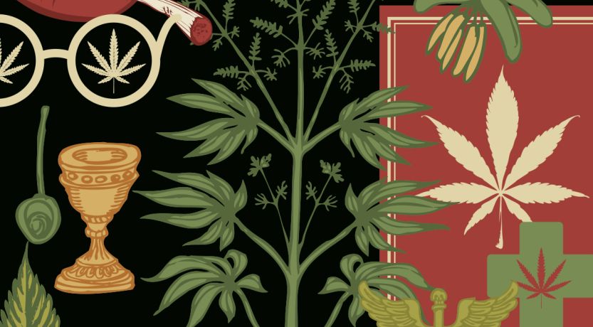 Graphic of marijuana plants and related images to illustrate the article 