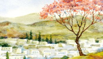 Colorful impressionistic graphic of a hillside with buildings and a tree in the foreground to illustrate the article 