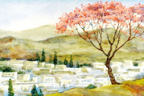 Colorful impressionistic graphic of a hillside with buildings and a tree in the foreground to illustrate the article 