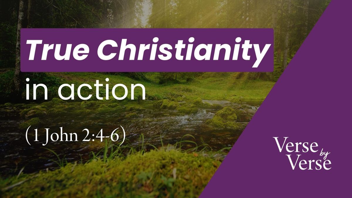 Keep His Commandments And Walk As He Walked 1 John 2 4 6 1-john-2-1-nlt-1-john-i-john-read-bible
