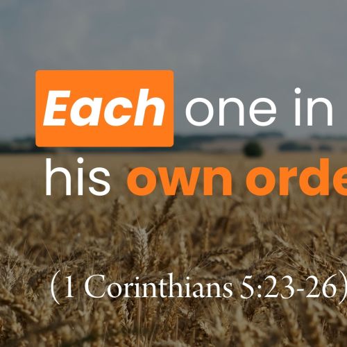 Each One in His Own Order (1 Corinthians 15:22-26)