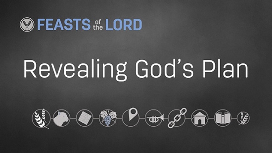 Revealing God’s Plan