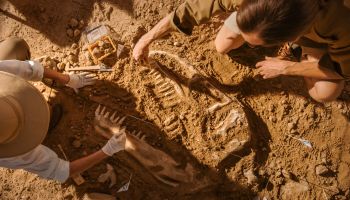 Archaeologists digging up dinosaur bones to illustrate the article Five Problems With the Theory of Evolution