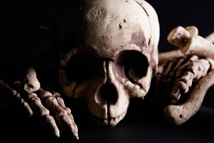 Halloween skull decorations