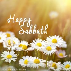Happy Sabbath! We follow God’s example and command by remembering and resting on this day each week. 