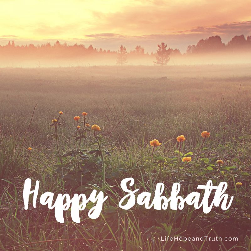 July 29, 2016 - Happy Sabbath