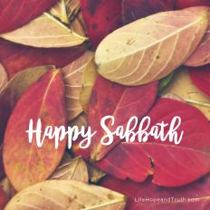 Happy Sabbath. In Genesis God instituted the Sabbath day by resting on the seventh day of the week (Genesis 2:2-3).