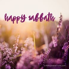 Happy Sabbath! The Sabbath forces us to prioritize what really matters.