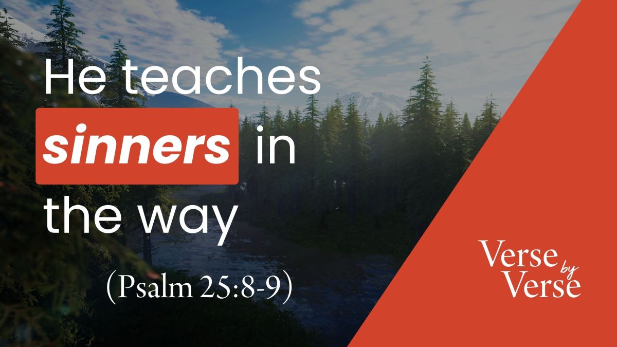 He Teaches Sinners In The Way Psalm 25 8 9 he-teaches-sinners-in-the-way-psalm-25-8-9
