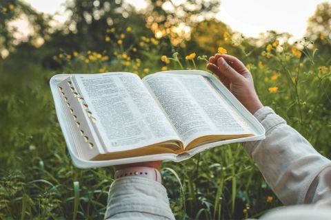 Photo of hands holding a open Bible in a outdoor setting, for the article How the Kingdom Should Change Our Lives Now