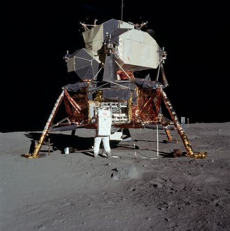 <p>No one would conclude that a lunar lander came together by blind chance.</p>