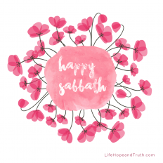 Happy Sabbath. The Sabbath is not some arbitrary, meaningless ritual or restriction. God created it for our benefit! It is a gift and a blessing from our Creator!