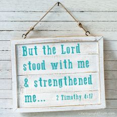 But the Lord stood with me and strengthened me...