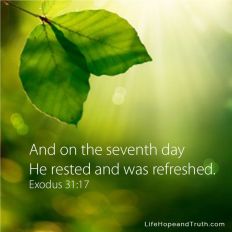 And on the seventh day He rested and was refreshed.