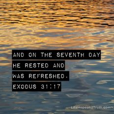 And on the seventh day He rested and was refreshed.