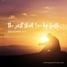 The just shall live by faith.