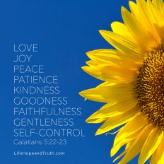 Love
Joy
Peace
Patience
Kindness
Goodness
Faithfulness
Gentleness
Self-Control 