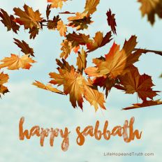 Happy Sabbath! “It shall be to you a sabbath of solemn rest, and you shall afflict your souls; on the ninth day of the month at evening, from evening to evening, you shall celebrate your sabbath” (Leviticus 23:32).