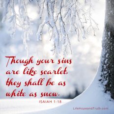 Though your sins are like scarlet, they shall be white as snow.