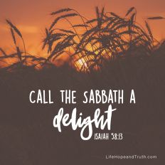 Call the Sabbath a delight.