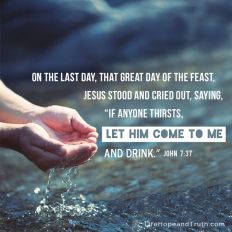 On the last day, that great day of the feast, Jesus stood and cried out, saying, "If anyone thirsts, let him come to me and drink."