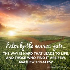 Enter by the narrow gate...
the way is hard that leads to life,
and those who find it are few.
