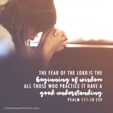 The fear of the LORD is the beginning of wisdom all those who practice it have a good understanding.
