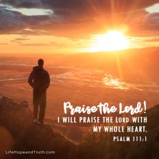 Praise the Lord  I will praise the LORD with my whole heart.
