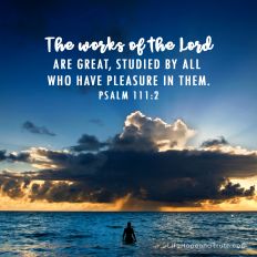 The works of the Lord are great, Studied by all who have pleasure in them.
