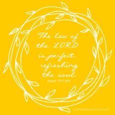 The law of the LORD is perfect, refreshing the soul.