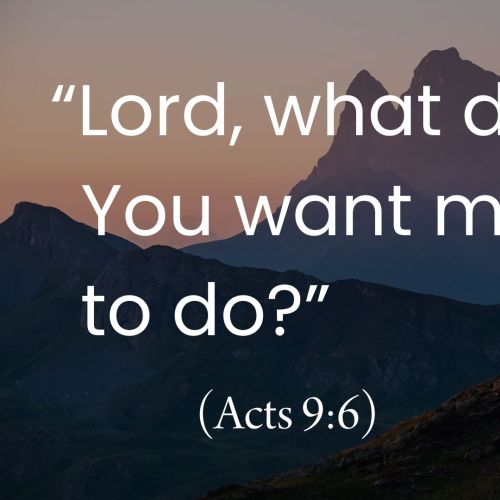 “Lord, What Do You Want Me to Do?” (Acts 9:6)