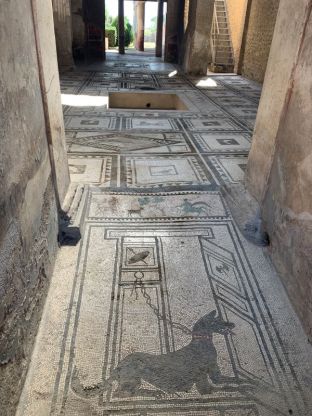 <p>Floor mosaics found in Pompeii.</p>