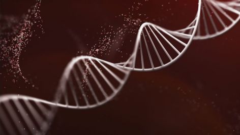 <p>The information needed to build and maintain living things is found in their DNA. The occasional random errors that take place when the DNA is copied are called mutations. And mutations are nearly always harmful.</p>