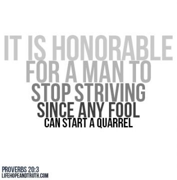 Proverbs 20:3